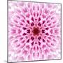 Pink Concentric Flower Center: Mandala Kaleidoscopic Design-tr3gi-Mounted Art Print