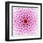 Pink Concentric Flower Center: Mandala Kaleidoscopic Design-tr3gi-Framed Art Print