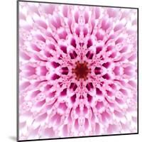 Pink Concentric Flower Center: Mandala Kaleidoscopic Design-tr3gi-Mounted Art Print