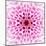 Pink Concentric Flower Center: Mandala Kaleidoscopic Design-tr3gi-Mounted Art Print