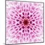 Pink Concentric Flower Center: Mandala Kaleidoscopic Design-tr3gi-Mounted Art Print