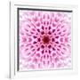 Pink Concentric Flower Center: Mandala Kaleidoscopic Design-tr3gi-Framed Art Print