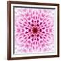 Pink Concentric Flower Center: Mandala Kaleidoscopic Design-tr3gi-Framed Art Print