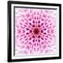 Pink Concentric Flower Center: Mandala Kaleidoscopic Design-tr3gi-Framed Art Print