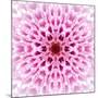 Pink Concentric Flower Center: Mandala Kaleidoscopic Design-tr3gi-Mounted Art Print