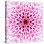 Pink Concentric Flower Center: Mandala Kaleidoscopic Design-tr3gi-Stretched Canvas