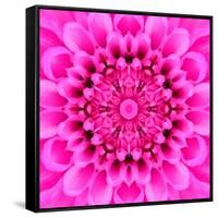 Pink Concentric Flower Center: Mandala Kaleidoscopic Design-tr3gi-Framed Stretched Canvas