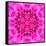 Pink Concentric Flower Center: Mandala Kaleidoscopic Design-tr3gi-Framed Stretched Canvas