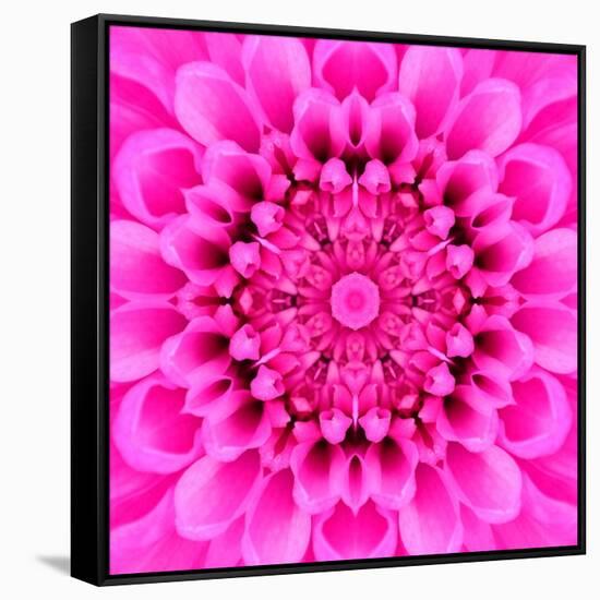 Pink Concentric Flower Center: Mandala Kaleidoscopic Design-tr3gi-Framed Stretched Canvas