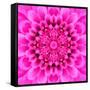 Pink Concentric Flower Center: Mandala Kaleidoscopic Design-tr3gi-Framed Stretched Canvas