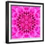 Pink Concentric Flower Center: Mandala Kaleidoscopic Design-tr3gi-Framed Art Print