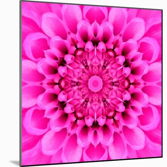 Pink Concentric Flower Center: Mandala Kaleidoscopic Design-tr3gi-Mounted Art Print