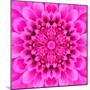 Pink Concentric Flower Center: Mandala Kaleidoscopic Design-tr3gi-Mounted Art Print