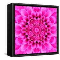 Pink Concentric Flower Center: Mandala Kaleidoscopic Design-tr3gi-Framed Stretched Canvas