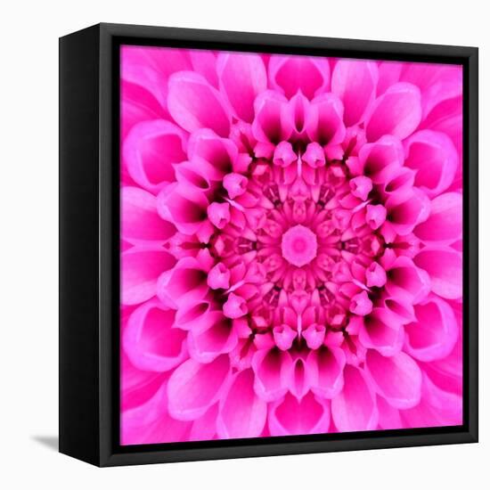Pink Concentric Flower Center: Mandala Kaleidoscopic Design-tr3gi-Framed Stretched Canvas