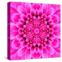 Pink Concentric Flower Center: Mandala Kaleidoscopic Design-tr3gi-Stretched Canvas