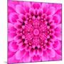 Pink Concentric Flower Center: Mandala Kaleidoscopic Design-tr3gi-Mounted Art Print