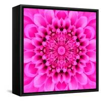 Pink Concentric Flower Center: Mandala Kaleidoscopic Design-tr3gi-Framed Stretched Canvas