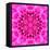 Pink Concentric Flower Center: Mandala Kaleidoscopic Design-tr3gi-Framed Stretched Canvas