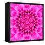 Pink Concentric Flower Center: Mandala Kaleidoscopic Design-tr3gi-Framed Stretched Canvas