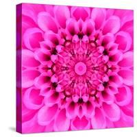 Pink Concentric Flower Center: Mandala Kaleidoscopic Design-tr3gi-Stretched Canvas