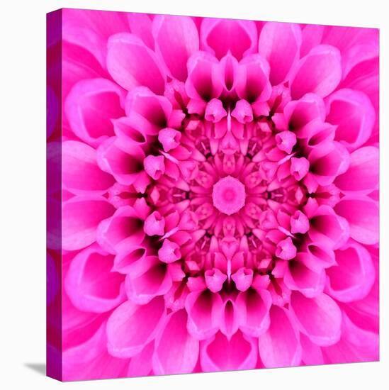 Pink Concentric Flower Center: Mandala Kaleidoscopic Design-tr3gi-Stretched Canvas