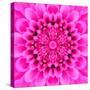 Pink Concentric Flower Center: Mandala Kaleidoscopic Design-tr3gi-Stretched Canvas