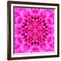 Pink Concentric Flower Center: Mandala Kaleidoscopic Design-tr3gi-Framed Art Print