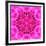 Pink Concentric Flower Center: Mandala Kaleidoscopic Design-tr3gi-Framed Art Print