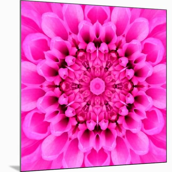 Pink Concentric Flower Center: Mandala Kaleidoscopic Design-tr3gi-Mounted Art Print