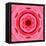 Pink Concentric Flower Center: Mandala Kaleidoscopic Design-tr3gi-Framed Stretched Canvas