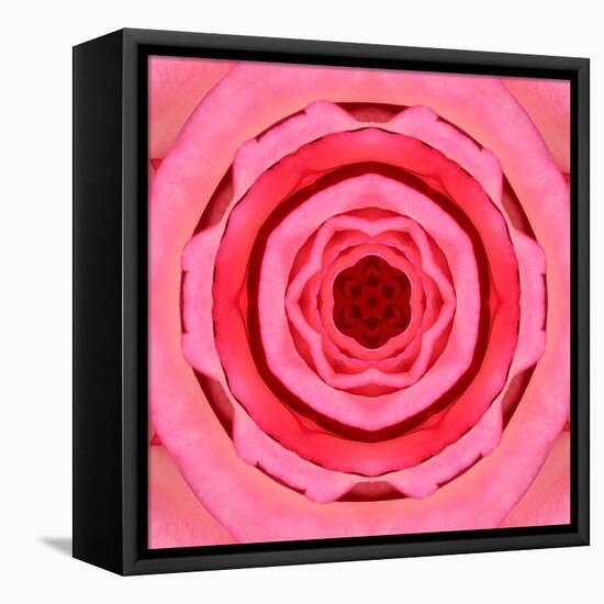 Pink Concentric Flower Center: Mandala Kaleidoscopic Design-tr3gi-Framed Stretched Canvas