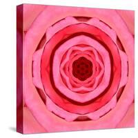 Pink Concentric Flower Center: Mandala Kaleidoscopic Design-tr3gi-Stretched Canvas