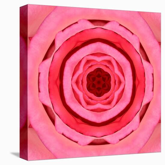 Pink Concentric Flower Center: Mandala Kaleidoscopic Design-tr3gi-Stretched Canvas