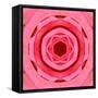 Pink Concentric Flower Center: Mandala Kaleidoscopic Design-tr3gi-Framed Stretched Canvas