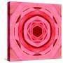 Pink Concentric Flower Center: Mandala Kaleidoscopic Design-tr3gi-Stretched Canvas