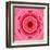 Pink Concentric Flower Center: Mandala Kaleidoscopic Design-tr3gi-Framed Art Print