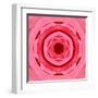 Pink Concentric Flower Center: Mandala Kaleidoscopic Design-tr3gi-Framed Art Print