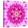 Pink Concentric Flower Center: Mandala Kaleidoscopic-tr3gi-Stretched Canvas