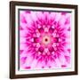 Pink Concentric Flower Center: Mandala Kaleidoscopic-tr3gi-Framed Art Print