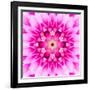 Pink Concentric Flower Center: Mandala Kaleidoscopic-tr3gi-Framed Art Print