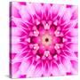 Pink Concentric Flower Center: Mandala Kaleidoscopic-tr3gi-Stretched Canvas