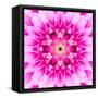 Pink Concentric Flower Center: Mandala Kaleidoscopic-tr3gi-Framed Stretched Canvas