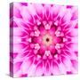 Pink Concentric Flower Center: Mandala Kaleidoscopic-tr3gi-Stretched Canvas