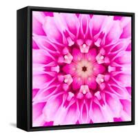 Pink Concentric Flower Center: Mandala Kaleidoscopic-tr3gi-Framed Stretched Canvas