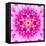 Pink Concentric Flower Center: Mandala Kaleidoscopic-tr3gi-Framed Stretched Canvas