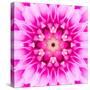 Pink Concentric Flower Center: Mandala Kaleidoscopic-tr3gi-Stretched Canvas