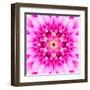 Pink Concentric Flower Center: Mandala Kaleidoscopic-tr3gi-Framed Art Print