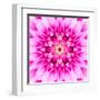 Pink Concentric Flower Center: Mandala Kaleidoscopic-tr3gi-Framed Art Print