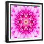 Pink Concentric Flower Center: Mandala Kaleidoscopic-tr3gi-Framed Premium Giclee Print